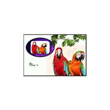 Мыло "тропики".