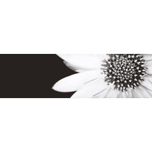 Ibero Black & White Secret Dec A 29x100 см