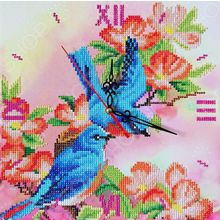 Color Kit «Райские птички»