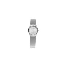 Женские наручные часы Skagen Mesh Swiss 432SSSS