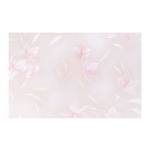 Обои "Лилии"