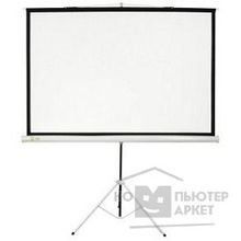 Cactus Экран  Triscreen CS-PST-180X180 180х180см 1:1 напольный белый