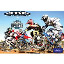 Фреска Applico 530028