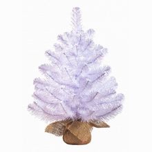 Triumph Tree (60 см) Исландская 73816