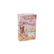 Сейф-книга с ключом "Коплю на мечту" STA511