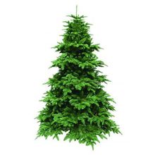  Елка Триумф Нормандия 73425 (200 см)