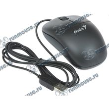 Оптическая мышь Genius "DX-135", 2кн.+скр., черный (USB) (ret) [136972]
