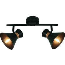 Спот Arte Lamp A1406AP-2BK BALTIMORE