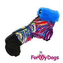 Теплый зимний комбинезон ForMyDogs для таксы мальчика FW373-2016 M