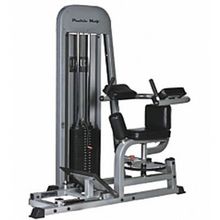 Тренажер "Торс машина" IMPACT CT 2029