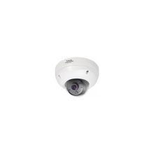 Сетевая камера Outdoor,2 Mega-pixel, H.264 MPEG-4 MJPEG, 1 2.7 CMOS, 3-9mm, (Vivotek)