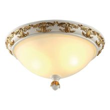 Потолочный светильник Arte Lamp A9570PL-2WG BENESSERE