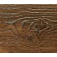 Дуб Джоржия