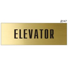 Информационная табличка «Elevator» на дверь прямоугольная Д147 (300х100 мм)