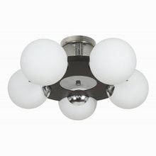 Аврора Буйки 10035-5C