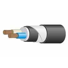 Кабель силовой ВБШвнг(А)-LS 2х25 мк-0,66