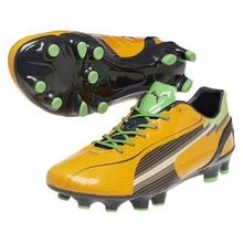 Бутсы Puma Evospeed 1 Fg 102527 02 Sr