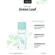 Dilis Туалетная вода для женщин Green leaf I Дилис