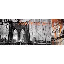 Декор Cerrol Fibra San Francisco Centro 250х600