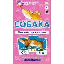 Занимательные карточки "Собака"