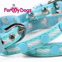 Ошейник ForMyDogs с декором, голубой FMDN13029-2013 B