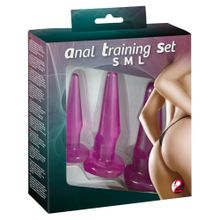 Orion Набор из 3 анальных пробок Anal Training Set (фиолетовый)