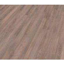 Дуб крепостной