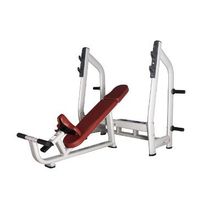 Bronze Gym H-025 Скамья Для Жима С Положительным Наклоном