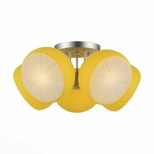 Люстра потолочная ST LUCE ARANCIO SL482.902.05