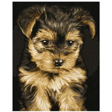 Schipper Щенок йоркширский терьер 24х30 см