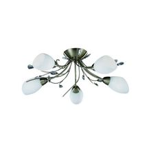 ARTE LAMP  Люстра потолочная GARDENIA A2766PL-5AB