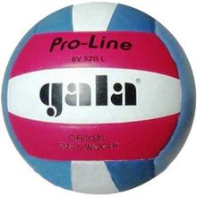 Мяч волейбольный Gala Pro-Line Colour BV5211L