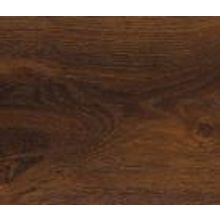 Дуб Дискавери