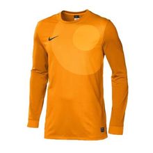 Свитер Nike Вратаря Ls Park Iv Gk Jsy 448265-739 Jr