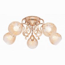 SilverLight Scroll 130.58.5