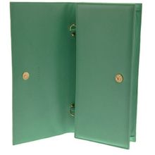 Rels Кожаный женский клатч Queen фисташковый