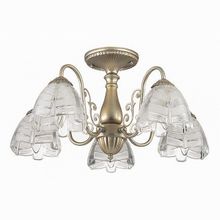 Lumion Jelis 3460 5C