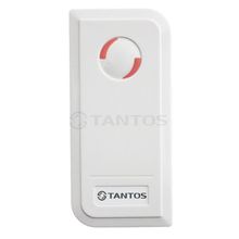 TANTOS Считыватель-контроллер Proximity Tantos TS-CTR-EM Белый Черный внешний
