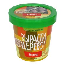 Набор для выращивания ВЫРАСТИ ДЕРЕВО! Инжир