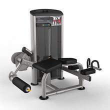 Сгибание ног лежа, Aerofit IE9521