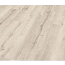 Дуб тирольский белый