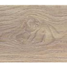 Дуб Эквадор