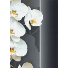 Andrea Rossi Pianosa 54169 8 54169 8