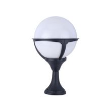 ARTE Lamp A1494FN-1BK, MONACO