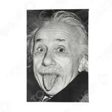 Mitya Veselkov «Эйнштейн»