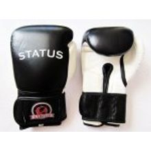 Боксерские перчатки STATUS,  Артикул: BG-01