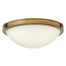 Hinkley Накладной светильник Hinkley Collier HK COLLIER F S ID - 453921