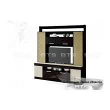 Модули БТС Фиеста Центральная часть