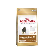 Royal Canin Rottweiler Junior (Роял Канин Ротвейлер Юниор) сухой корм для щенков