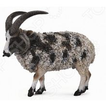 Collecta «Овца четырехрогая»